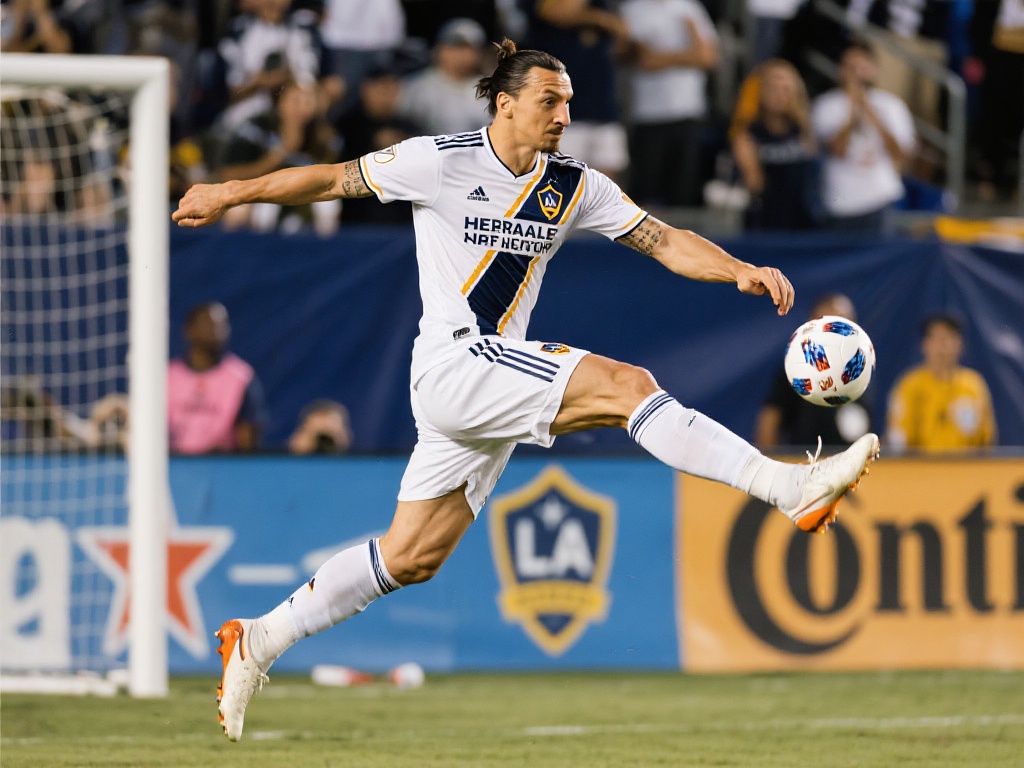 确的网址 确的网址